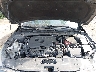 1N4BL4EW8KN****** Repairable 2019 Nissan Altima in Indianapolis