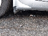 JHMAP21485S****** Salvage and Wrecked 2005 Honda S2000 in Charlotte