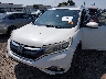 5J6RM4H91GL****** Salvamento y Reparables 2016 Honda CR-V en Estado de Oklahoma