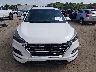 KM8J23A41LU****** Salvamento y Reparables 2020 Hyundai Tucson en Estado de Tennessee