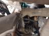 2T2HK31U29C****** Salvamento 2009 Lexus RX en Saint Cloud