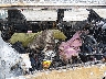 5TDJZ3DCXHS****** Wrecked 2017 Toyota Sienna in Anchorage