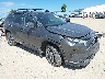 2T3P1RFV7NC****** Salvamento y Destrozados 2022 Toyota RAV4 en Missoula