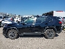 JTMB6RFV6SJ****** Reparables 2025 Toyota RAV4 Hybrid en Estado de Texas