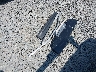 SALSH23448A****** Wrecked 2008 Land Rover Range Rover Sport in Washington State