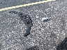 19UDE2F73JA****** Salvage 2018 Acura ILX in Florida State