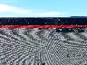 5YJYGAEE9MF****** Repairable 2021 Tesla Model Y