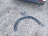 JM3KFBCM5S0****** Wrecked 2025 Mazda CX-5 in Massachusetts State