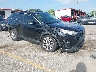 2T3C1RFV2MC****** Salvage and Wrecked 2021 Toyota RAV4 in West Palm Beach