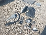 5XYK53DF7RG****** Repairable 2024 Kia Sportage in Lafayette
