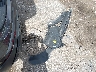 5NMS64AJ0NH****** Destrozados 2022 Hyundai Santa Fe en Estado de Florida