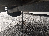 1E1F9U283MR****** Salvamento 1991 East Manufacturing Dump Semi Trailer en Estado de Pennsylvania