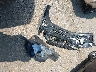 5NPE24AF8KH****** Wrecked 2019 Hyundai Sonata in Nebraska State