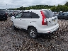 5J6RE3H73AL****** Salvage and Repairable 2010 Honda CR-V in Jackson