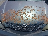 4T1BE32K23U****** Salvage and Repairable 2003 Toyota Camry in Louisiana State