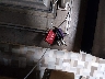 4YDF37325J4****** Salvamento 2018 Keystone Keystone en Estado de Texas