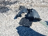 5YJYGDEE8MF****** Destrozados 2021 Tesla Model Y en Estado de Illinois