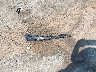 1HGCV1F43JA****** Wrecked 2018 Honda Accord in North Carolina State