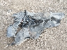 2C3CDXJG8JH****** Wrecked 2018 Dodge Charger in New York State