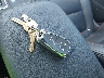 3GNAXUEV1ML****** Salvamento 2021 Chevrolet Equinox en Estado de Massachusetts