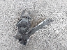 3TMLB5JN2SM****** Destrozados 2025 Toyota Tacoma en Estado de Nueva York
