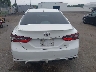 4T1G11AK7NU****** Destrozados 2022 Toyota Camry