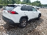 2T3W1RFVXPW****** Salvamento y Destrozados 2023 Toyota RAV4 en Estado de Massachusetts