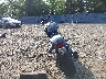 1HD1YXZ13RB****** Salvamento y Reparables 2024 Harley-Davidson Low Rider ST en Estado de Nueva Jersey