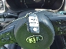 5XYPKDA55HG****** Salvage 2017 Kia Sorento in Nebraska State