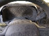 1FTFW1CD1PF****** Salvamento 2023 Ford F-150 en Little Rock