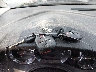 1G2ZG57B894****** Salvamento 2009 Pontiac G6 en Estado de Virginia Occidental
