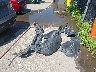 5FNYF6H04HB****** Destrozados 2017 Honda Pilot en Estado de Kansas
