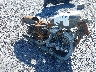 1HD4CR2129K****** Salvamento y Destrozados 2009 Harley-Davidson Xl883 en Albany