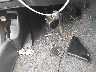 JHLRD1860XC****** Salvage 1999 Honda CR-V in New York State