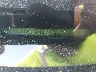 5TFTX4CN0BX****** Used 2011 Toyota Tacoma in Seattle