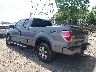 1FTFX1CF9DF****** Salvage and Repairable 2013 Ford F-150 in Indianapolis