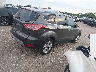 1FMCU0G70GU****** Salvamento y Destrozados 2016 Ford Escape en Estado de Illinois