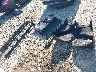 JTDS4RCE0LJ****** Wrecked 2020 Toyota Corolla in Georgia State