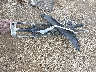 2GCEK19MXT1****** Destrozados 1996 Chevrolet GMT-400 en Estado de Tennessee