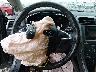 3FA6P0K99ER****** Salvage 2014 Ford Fusion in Tennessee State