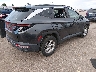 5NMJBCAE2PH****** Salvage and Wrecked 2023 Hyundai Tucson in Colorado State