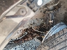 2HKRM3H7XGH****** Salvage and Wrecked 2016 Honda CR-V in Atlanta East