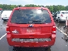 1FMCU0D79BK****** Destrozados 2011 Ford Escape