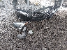 JTJBARBZ9K2****** Destrozados 2019 Lexus NX en Estado de Delaware