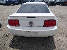 1ZVFT80N475****** Destrozados 2007 Ford Mustang