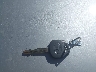 4T1BF1FK2HU****** Salvamento 2017 Toyota Camry en Estado de Utah