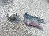 JF2SH6CC3AH****** Wrecked 2010 Subaru Forester in Nebraska State