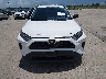 2T3H1RFV5MC****** Destrozados 2021 Toyota RAV4 en Estado de Texas