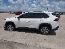 2T3H1RFV5MC****** Reparables 2021 Toyota RAV4 en Estado de Texas
