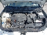 5NPEB4AC5DH****** Reparables 2013 Hyundai Sonata en Rochester